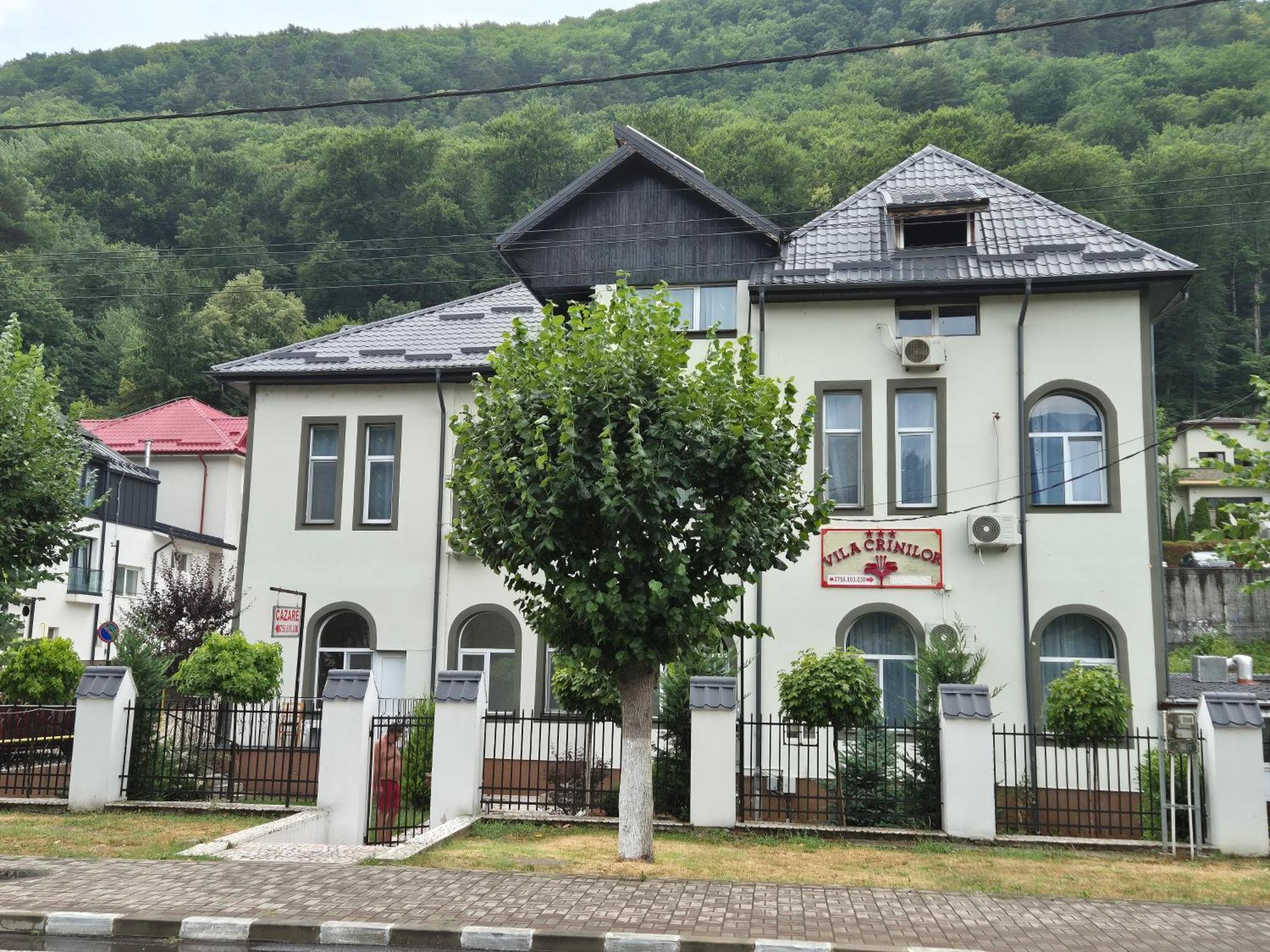 Vila Crinilor Calimanesti Exterior photo